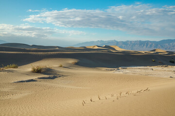 Fototapeta na wymiar Sand dunes in desert. Sunset at Mesquite Flat Sand Dunes in Death Valley, California