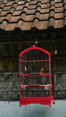Red birdcage hanging under the roof tiles of the house. Focus selected. Blurred bamboo wall background