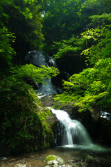 Obraz premium 滝と新緑（愛媛県久万高原町遅越の滝）