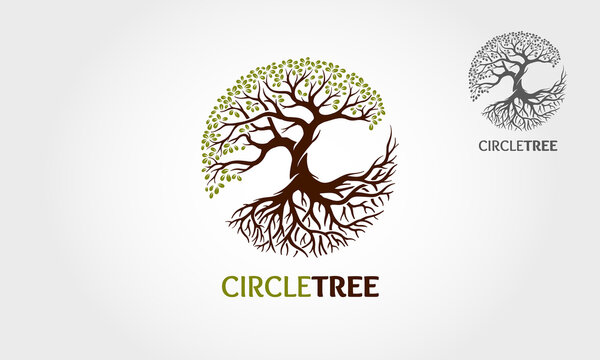 Circle Tree  Vector Logo Template. This logo depicts a tree whose roots and branches are connected to form a circle. This concept can be used for recycling, environmental associations, landscapes.