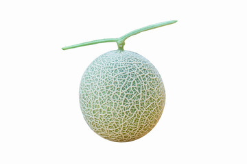 fresh orange melon on white background with workpath