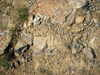 Soil background. Stony ground. Ground and stones. Crushed stones. Green grass. Natural background