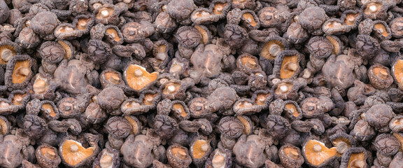 Eatable Chinese mushrooms in marketplace close up