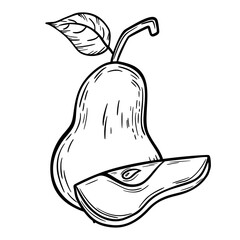 Pear sketch. Delicious and healthy fruit. Sketch. For your design.