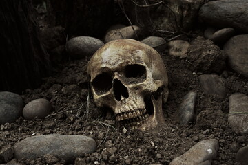 Human skull Symbols of the spirit world and after death