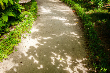 At noon, a white sand trail shaded by tree shadows blocked the hot sunlight and looked comfortable and pleasant