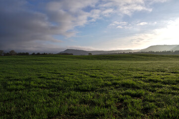 Fototapeta na wymiar 雲の浮かぶ空の下の新緑の牧草地。