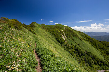 伊予富士付近の登山道