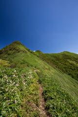 伊予富士付近の登山道