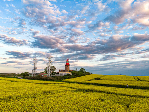 Leuchtturm Bastorf im Raps