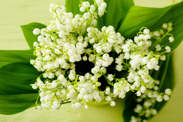 Vase with beautiful lily-of-the-valley flowers on color background, closeup