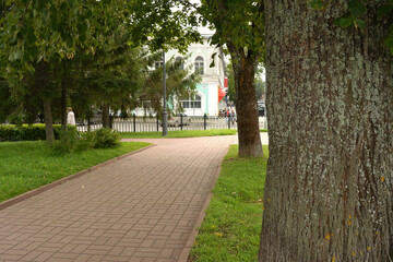 Public park in the business part of the city, the trunk of an old linden tree close-up against the background of a pedestrian path, greenery and buildings. Summer city landscape. Rybinsk, Russia.