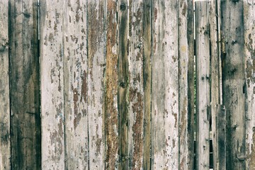 Obraz premium Natural background from a simple fence made of old rough wooden planks with the texture of unsmiled wood.