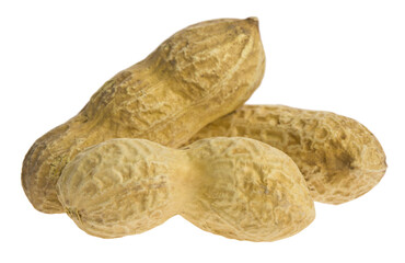 Peanuts isolated on white background.