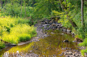 small wild river Brtnicka in Bohemian forest on Vysocina
