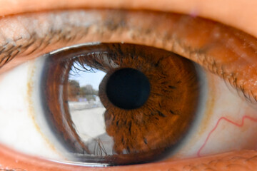 Macro shot of human brown eye, pupil, ratina, eye lashes