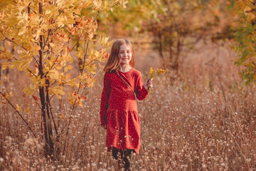 Little girl walking in autumn park