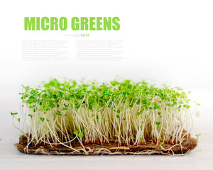 Organic microgreen growings