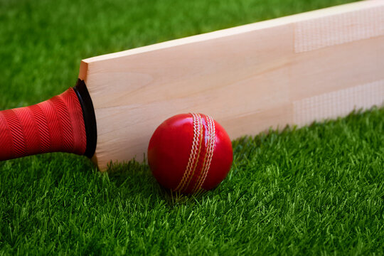 cricket bat and ball placed on cricket ground green grass