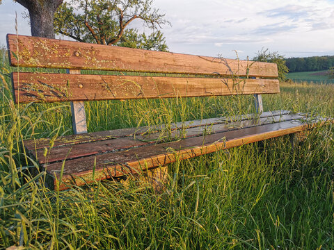 Eine Sitzbank aus Holz in einer Wiese