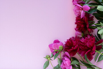 Bouquet of blooming red and rose peonies on pink background. Place for text. View from above, close-up