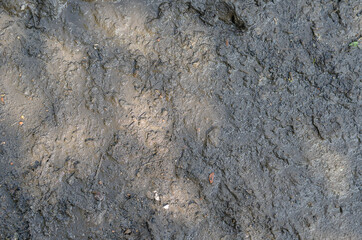 The texture of wet natural mud. Brown soil after rain with grasses and small stones.