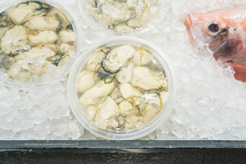 Oyster packing in plastic box for sale in market.