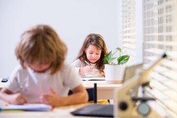 Cute pupil writing at desk in classroom at the elementary school. Student girl doing test in primary school. Children writing notes in classroom during the lesson.