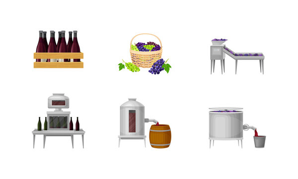 Grape Wine Production with Alcoholic Fermentation and Pouring in Bottles Process Vector Set