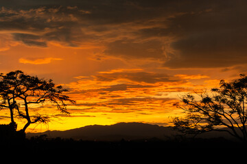 Sunset behind a mountain with a tree facing