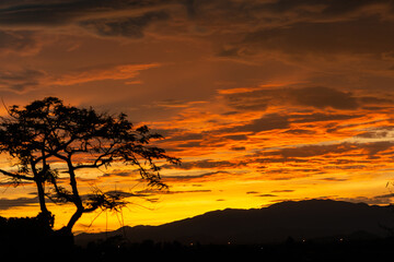 Sunset behind a mountain with a tree
