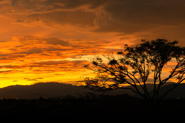 Fototapeta na wymiar Sunset behind a mountain with a tree