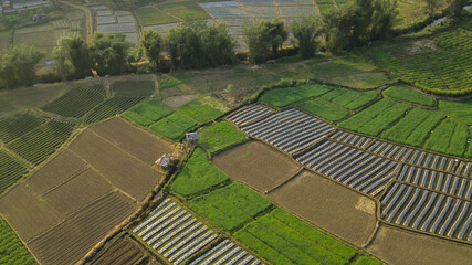 Top view aerial photo from flying drone of landscape with farmland Chiang Mai, Thailand
