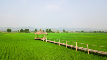 Top view aerial photo from flying drone of rice field landscape with cottage