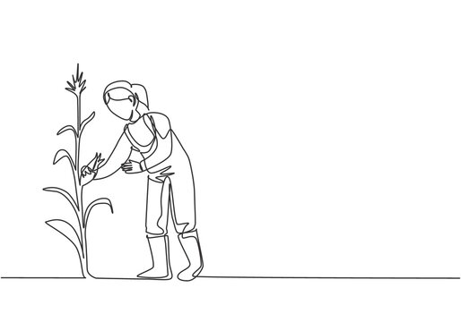 recommend clip art: Continuous one line drawing young female farmer picking the corn on the tree. Professional farmer. Farming challenge minimalist concept. Single line draw design vector illustration.