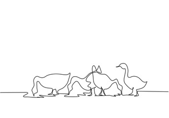 Single one line drawing of the geese are being fed to be healthy and produce the best eggs and meat. Farming challenge minimal concept. Modern continuous line draw design graphic vector illustration.
