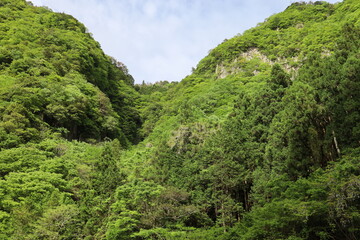 春の岩肌と山