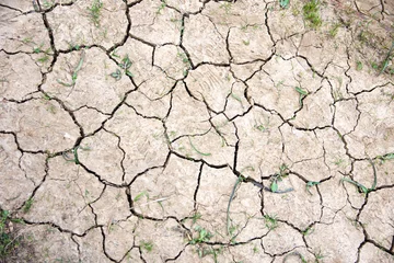 Tuinposter Dirt cracked  in California due to global warming drought season - Dry Soil background © Clarice Deoh