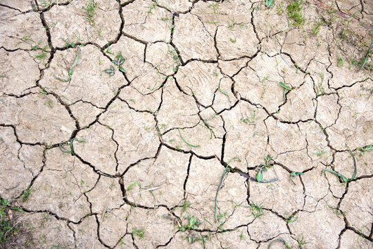 Dirt cracked  in California due to global warming drought season - Dry Soil background