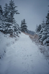 Steep hiking trail leading up a snowy hill, Western Tatra Mountains, Poland. Dark winter morning in Zakopane area. Selective focus on the path, blurred background.