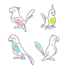Collection of cute funny exotic macaw and ara parrots characters isolated on white background. Vector flat outline hand drawn illustration. For kids illustrations, nursery decor, cards, banners.