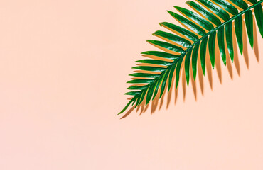 Fototapeta premium Green tropical palm leaf aganist pastel beige background. Minimal summer concept. Creative flat lay.