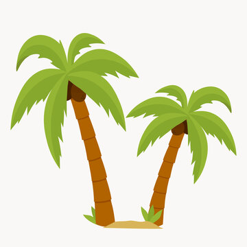 Palm trees isolated on white background. Coconut tree vector illustration for icon or advertising layout