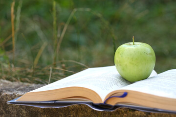 Close up of open book and green apple