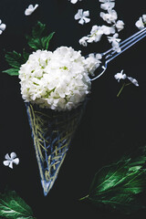 ice cream with flowers. bouquet of white fluffy flowers in a drawn waffle cone. ice cream from flowers. white flowers on black table