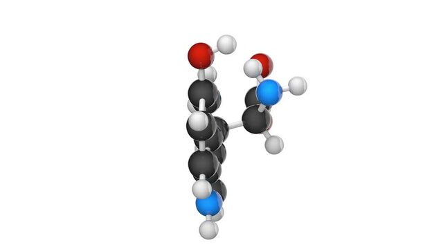 Hydroxytryptophan chemical structure, precursor of serotonin and metabolic intermediate of tryptophan. C11H12N2O3. 3D render. Seamless loop. Chemical structure model: Ball and Stick. White background