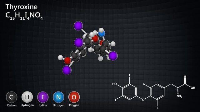 Thyroxine (T4) is the major hormone derived from the thyroid gland. Formula: C15H11I4NO4. 3D render. Seamless loop. Chemical structure model: Ball and Stick.