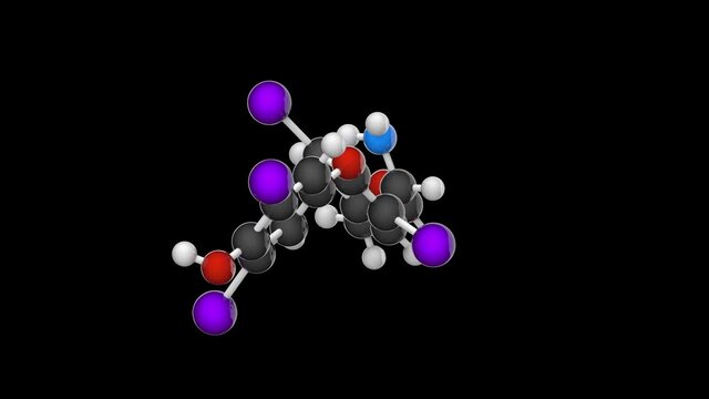 Thyroxine (T4) is the major hormone derived from the thyroid gland. Formula: C15H11I4NO4. 3D render. Seamless loop. Chemical structure model: Ball and Stick. RGB + Alpha (Transparent) channel
