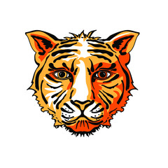 Vector image of a tiger head. Hand drawn predator illustration. Wild animal face