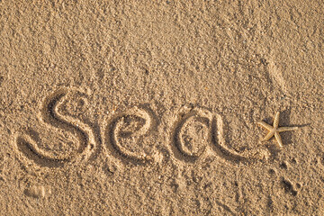 Fototapeta na wymiar Vacation. Word Sea written in the sand on the beach.